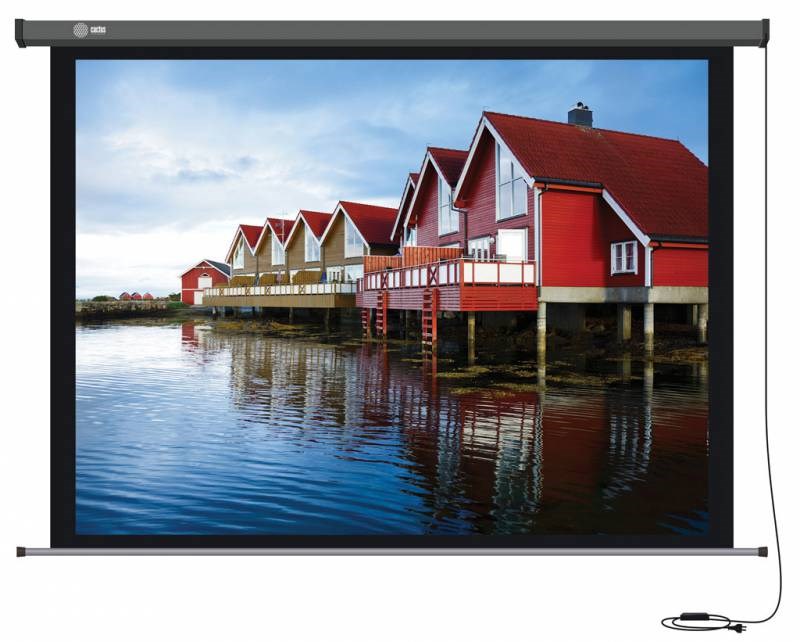 

Экран Cactus Professional Motoscreen CS-PSPM-124x221 100" 16:9 настенно-потолочный рулонный (моторизованный привод)