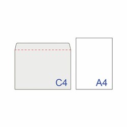 Конверты Brauberg С4 (229х324 мм), отрывная лента, 100 г/м2, комплект 50 шт. - фото 20996