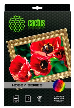 Холст Cactus CS-СA426010 A4, 260г/м2, 10л, для струйной печати - фото 21630