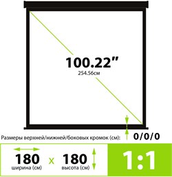 Экран Cactus Triscreen CS-PST-180x180 1:1 напольный черный (180x180 см.) - фото 21631