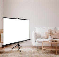 Экран Cactus Triscreen CS-PST-150x150 1:1 напольный черный (150x150 см.) - фото 21650