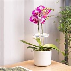 Светильник фито Cactus Garden светод. 7.5Вт цв.св.:белый (CS-LED-ORCHID) - фото 22263