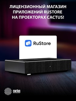 Проектор Cactus CS-U2.B DLP 800Lm ANSI (1920x1080) 15000:1 ресурс лампы:50000часов 2xUSB typeA 2xHDMI 1.78кг - фото 25052