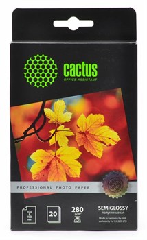Фотобумага полуглянцевая Cactus Prof CS-SGA628020 10x15, 280г/м2, 20л. - фото 6850