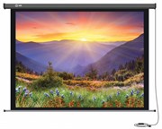Экран Cactus Professional Motoscreen CS-PSPM-149x265 120" 16:9 настенно-потолочный рулонный (моторизованный привод) Экран Cactus Professional Motoscreen CS-PSPM-149x265 120" 16:9 настенно-потолочный рулонный (моторизованный привод)