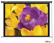 Экран Cactus Professional Motoscreen CS-PSPM-168X299 135" 16:9 настенно-потолочный рулонный (моторизованный привод) Экран Cactus Professional Motoscreen CS-PSPM-168X299 135" 16:9 настенно-потолочный рулонный (моторизованный привод)