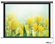 Экран Cactus Professional Motoscreen CS-PSPM-183X244 120" 4:3 настенно-потолочный рулонный (моторизованный привод) Экран Cactus Professional Motoscreen CS-PSPM-183X244 120" 4:3 настенно-потолочный рулонный (моторизованный привод)