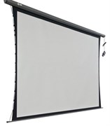 Экран Cactus Professional Tension Motoscreen CS-PSPMT-183X244 120" 4:3 настенно-потолочный рулонный черный (моторизованный привод) Экран Cactus Professional Tension Motoscreen CS-PSPMT-183X244 120" 4:3 настенно-потолочный рулонный черный (моторизованный привод)