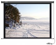 Экран Cactus Professional Motoscreen CS-PSPM-206X274 135" 4:3 настенно-потолочный рулонный (моторизованный привод) Экран Cactus Professional Motoscreen CS-PSPM-206X274 135" 4:3 настенно-потолочный рулонный (моторизованный привод)