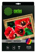 Холст Cactus CS-СA426010 A4, 260г/м2, 10л, для струйной печати